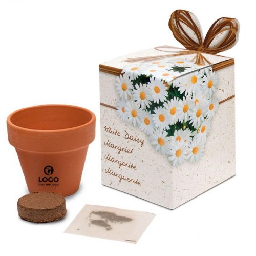 Flower pot with seeds in box - Image 5